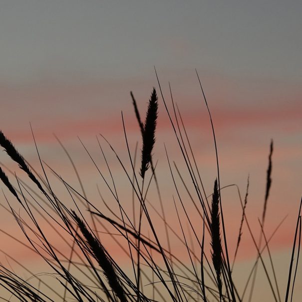 mer-vendee-brem-sur-mer