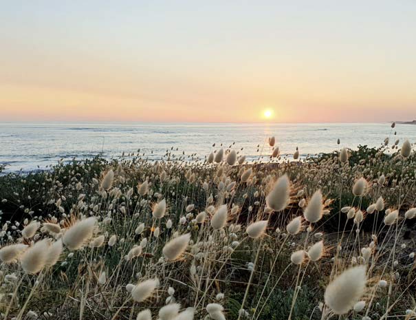 Location de vacances en Vendée 85